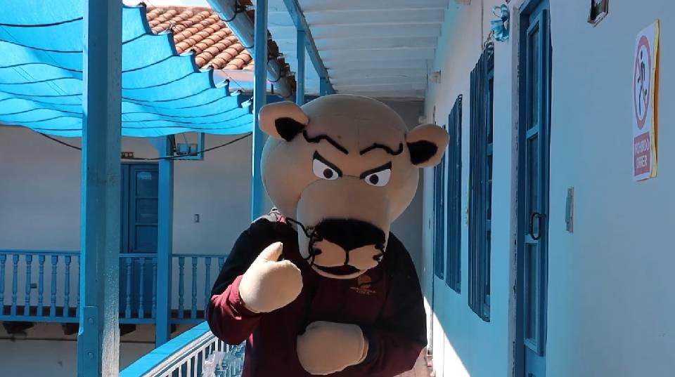 gerencia del centro histórico del Cusco