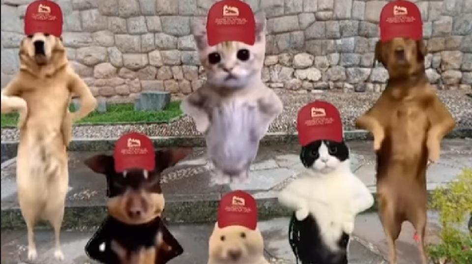 gerencia del centro histórico del Cusco